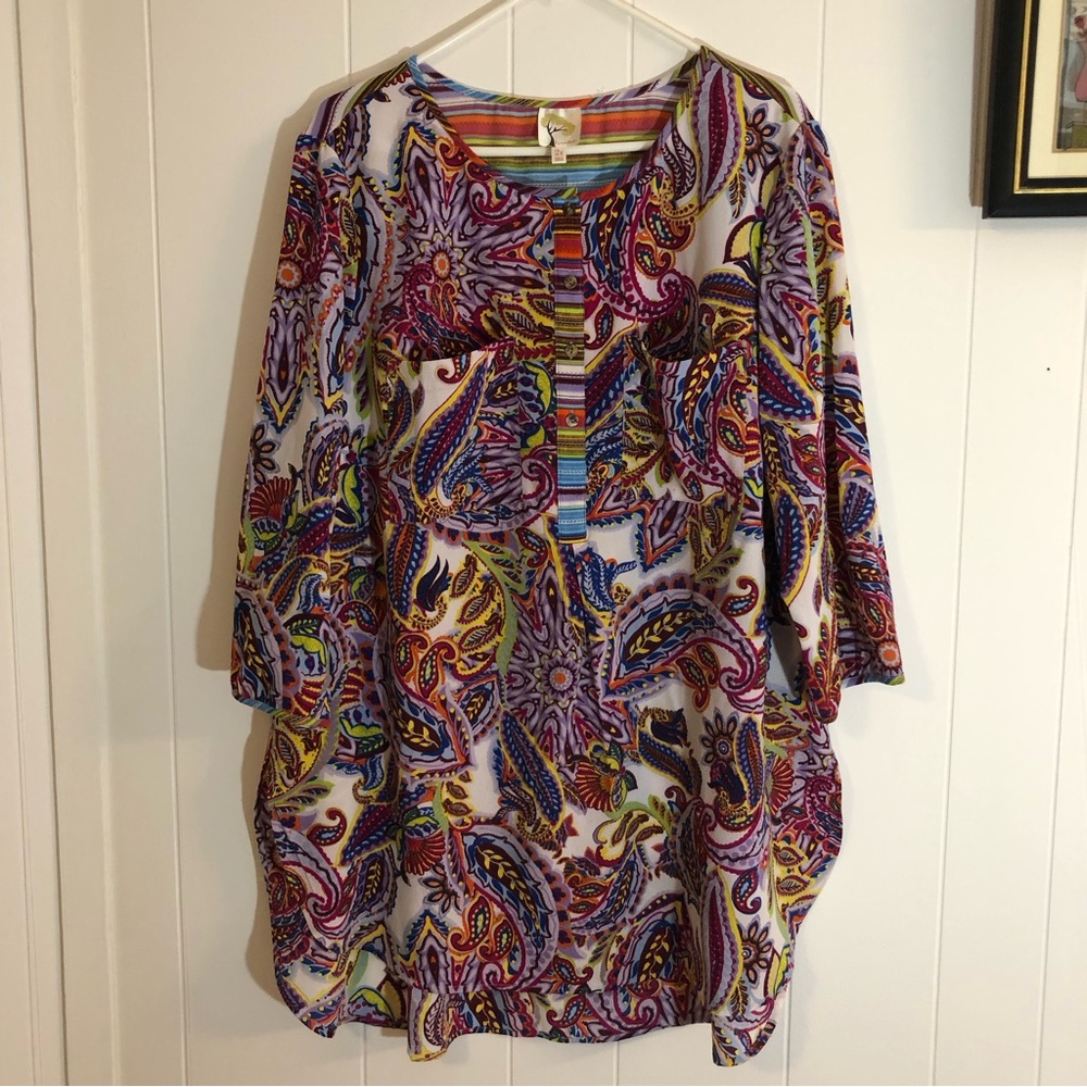 Fig and flower Anthrologie Paisley Striped Colorful Tunic 2X
